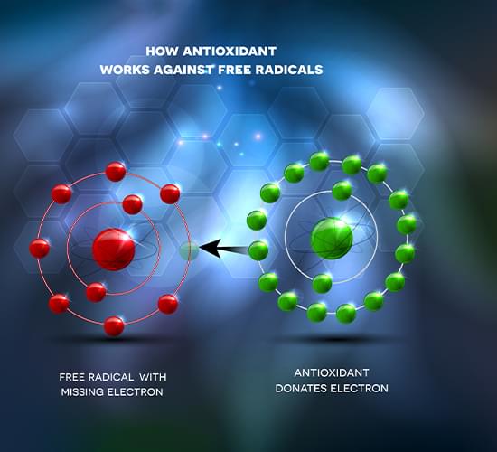 antioxidant.