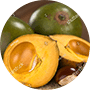 Lucuma.